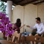 Casa Pompelmo Tatil Evi
