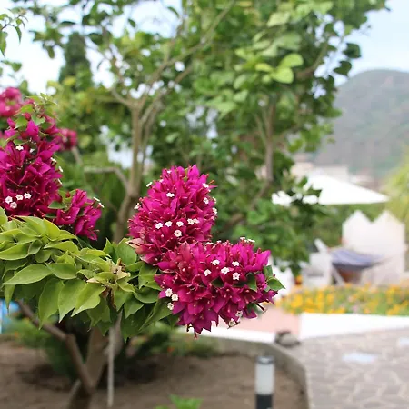 Casa Pompelmo Holiday home Lipari (Isola Lipari)