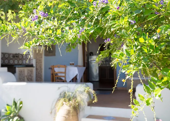 Casa Pompelmo Tatil Evi